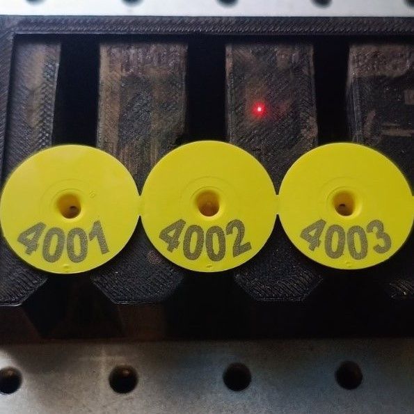Бирка вушна MultiFlex R/R 27 мм (з номерацією від 1 до 100), 100 уп/шт 2209586508 фото