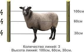Електропастух Corral NA200 для овець (комплект на 500 м в 3 лінії проводника) 256927273 фото