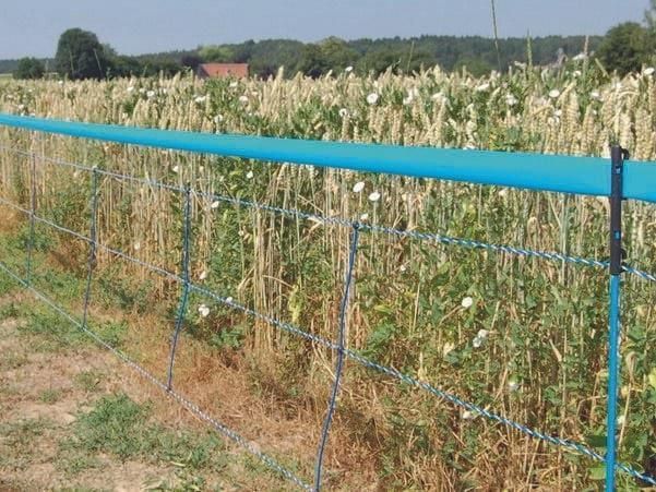 Сітка огорожі WildNet для захисту від диких кабанів 27215 фото