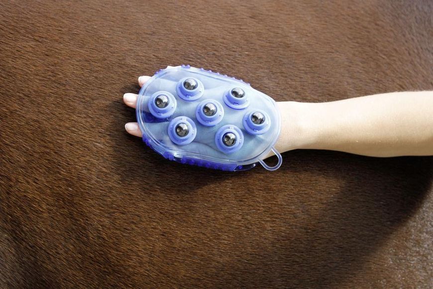 Щітка магнітна масажна для коня 1132860411 фото