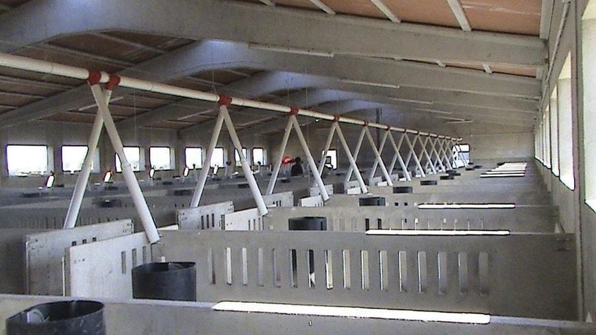 Труба кормороздачі ПВХ 3 м (&Oslash; 75 мм), MSW &mdash; Німеччина 902811132 фото