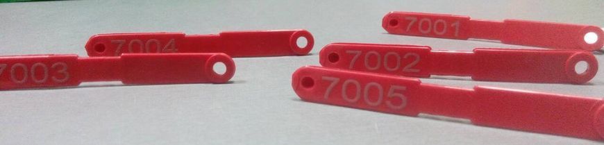 Ушная бирка ID1090 (с лазерной маркировкой с двух сторон) ID00126/2 фото